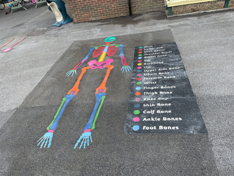 DBD-Play-Skeleton-Playground-Marking