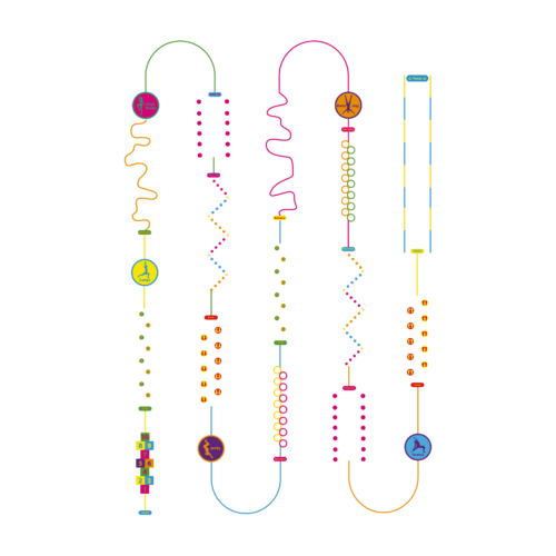Playground-Marking-Deluxe-Fun-And-Active-Trail