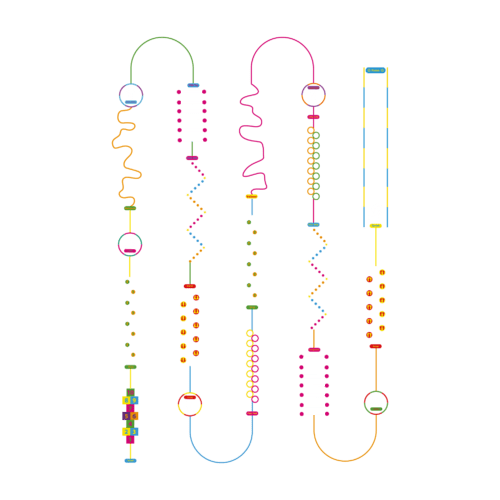 Playground-Marking-Fun-And-Active-Trail