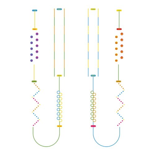 Playground-Marking-Race-Trail