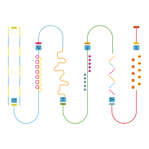 Playground-Marking-Widgit-Active-Trail
