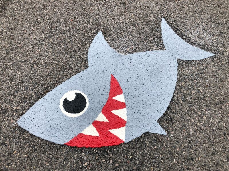 Shark-Playground-Marking